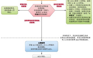 BLS 医务人员成人心脏骤停流程图