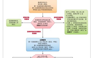 BLS 医务人员 2 名以上施救者的儿童心脏骤停流程图——2015 更新