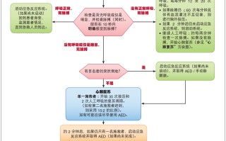 BLS 医务人员单一施救者的儿童心脏骤停流程——2015 更新